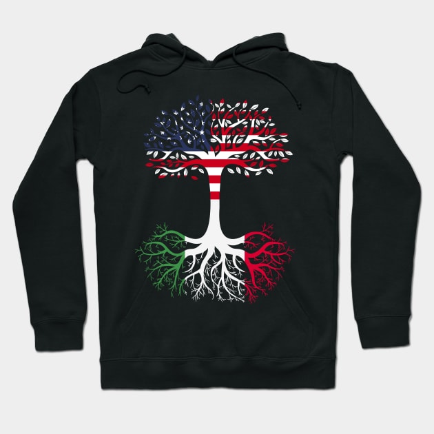 American Grown Italy Roots Italy Flag Hoodie by BramCrye